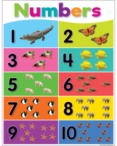 Numbers Chart