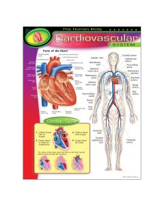 Cardiovascular Chart